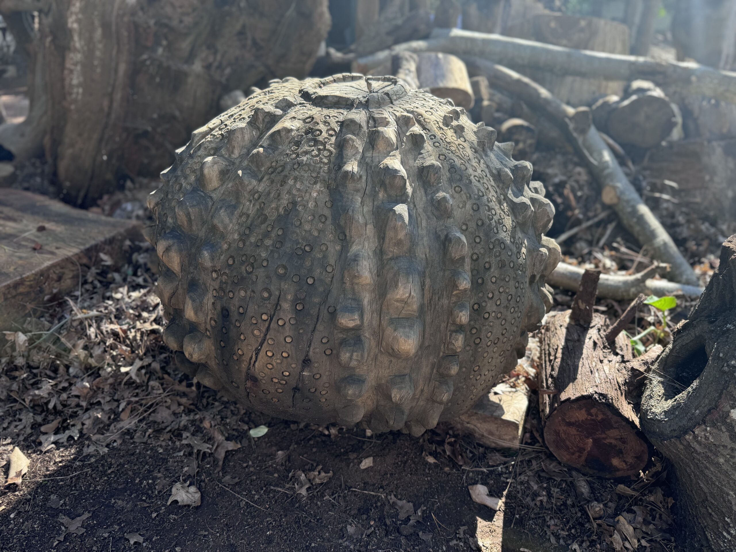 Wooden Sea Urchin Wooden Sea Urchin