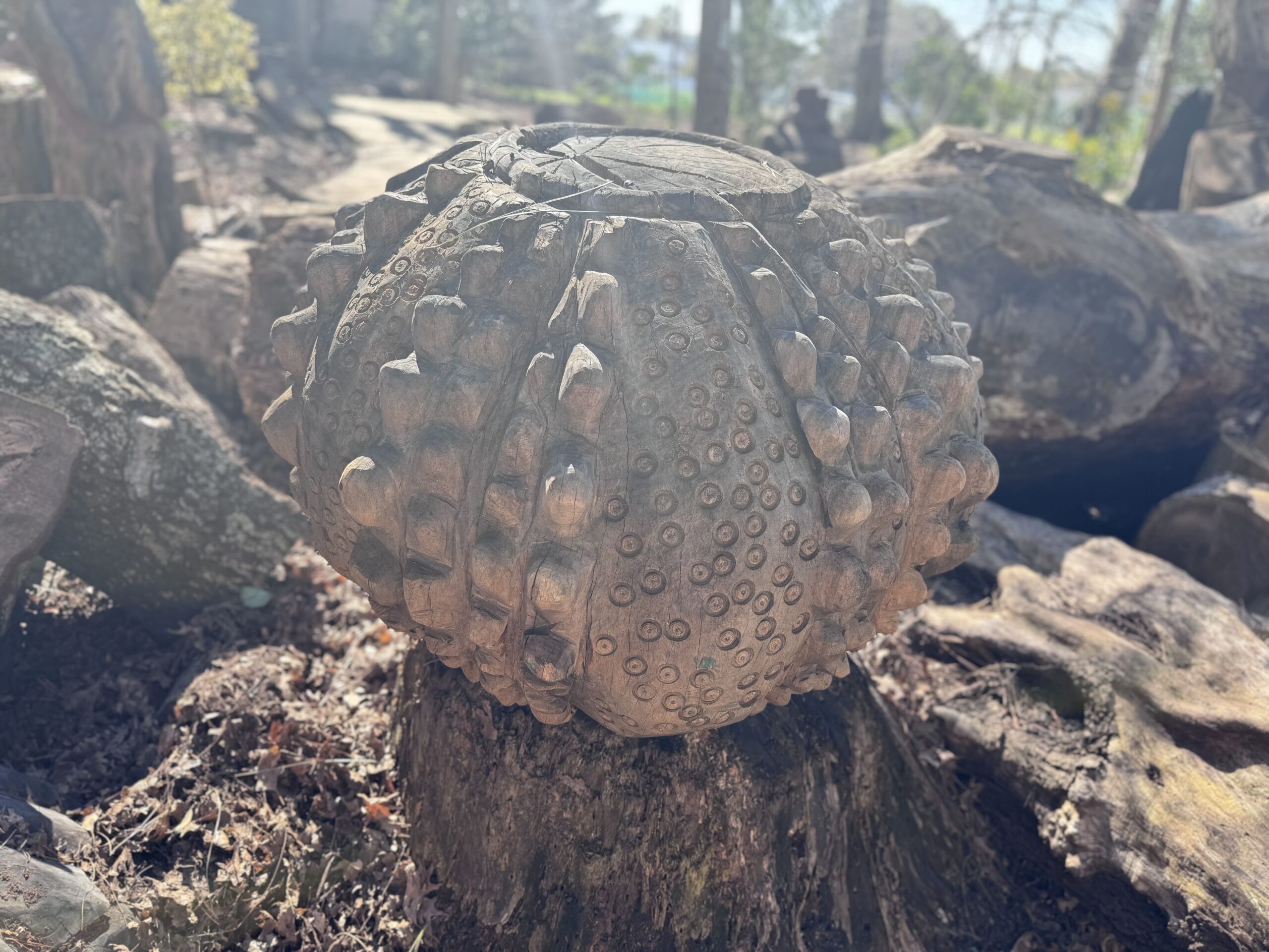 Wooden Urchin