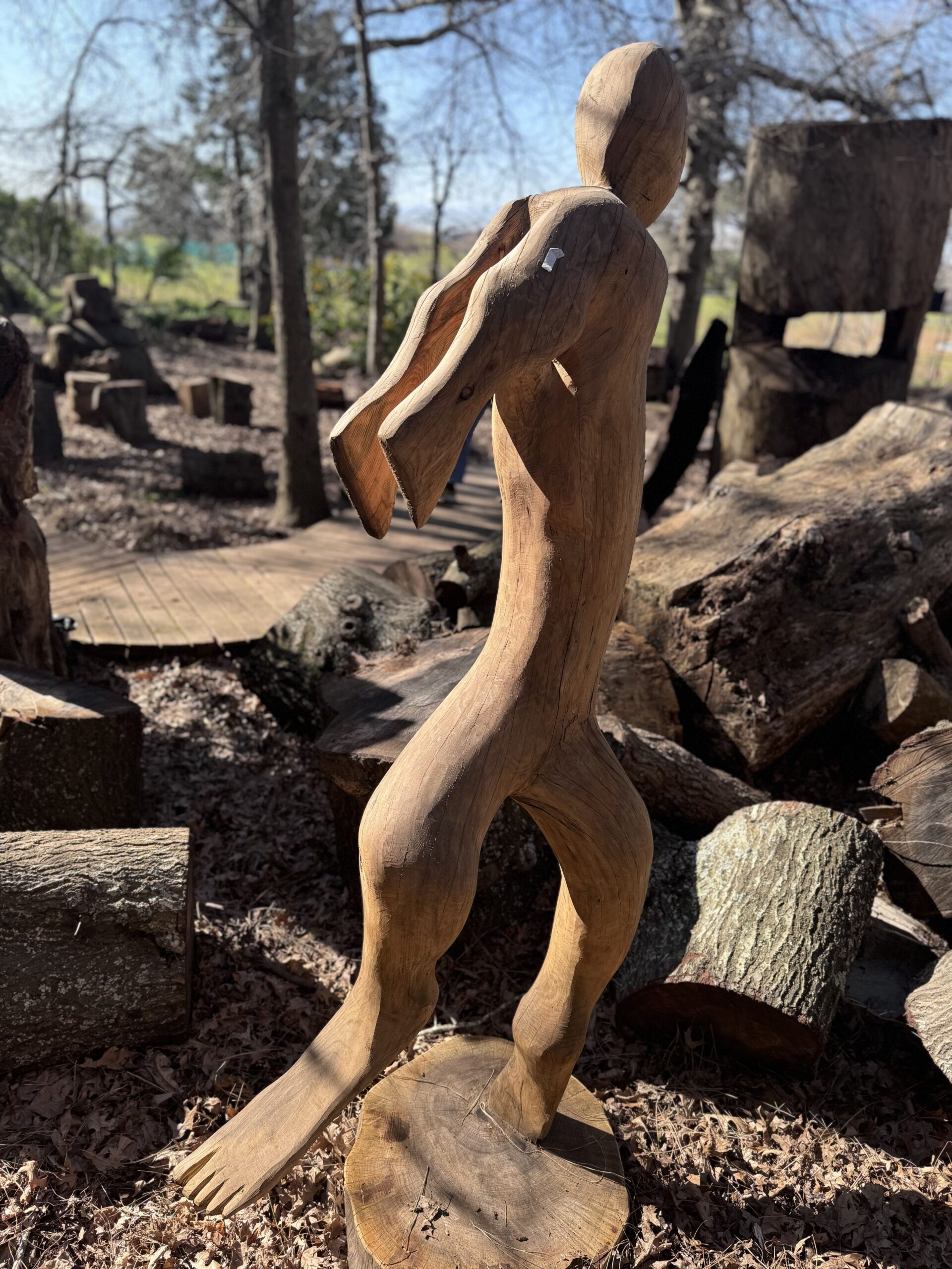 Wooden Dancer Wooden Dancer