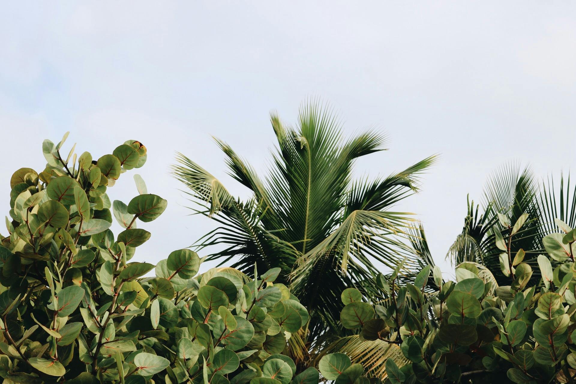 pexels-mdsnmdsnmdsn-788485